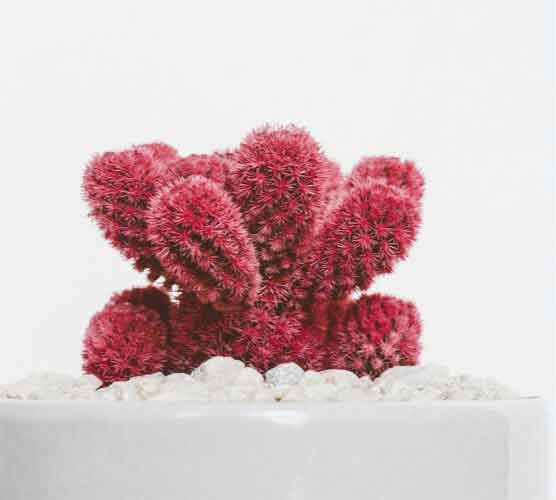 在线轰炸电话网页版免费测试